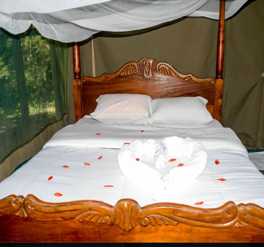 Luxury safari accomodation in the heart of
                 the African Wilderness