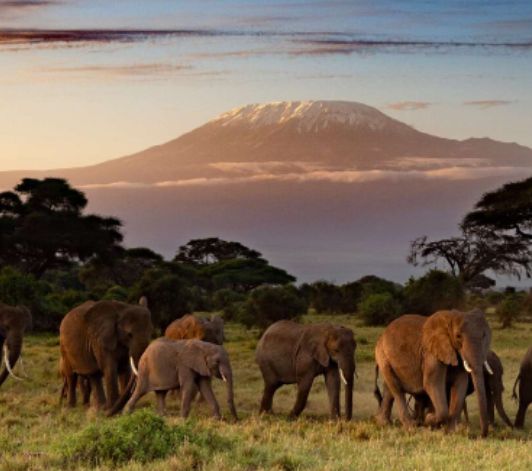 Amboseli National Park