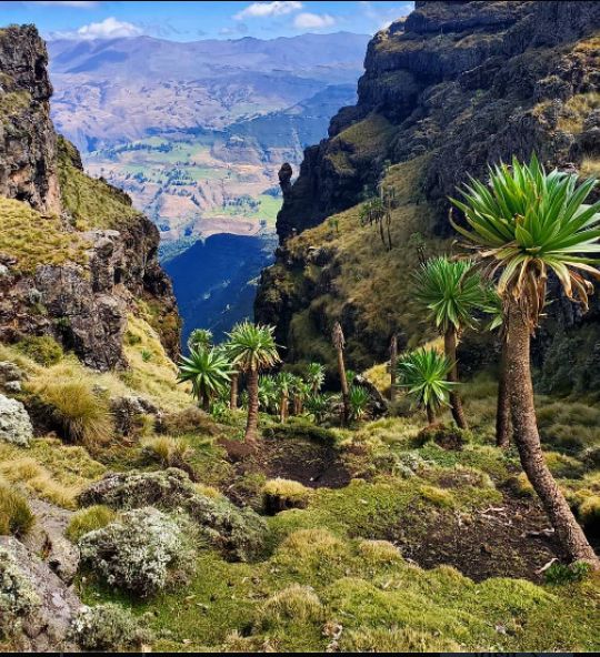 Ethiopian highlands and scenery