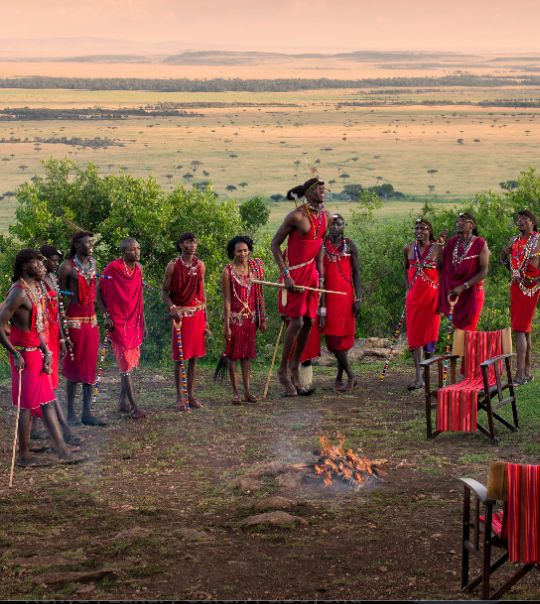 Safari gallery picture 17