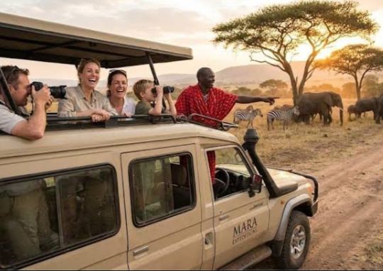 Safari gallery picture 22