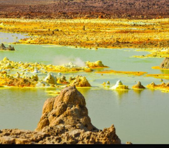 Safari gallery picture 23