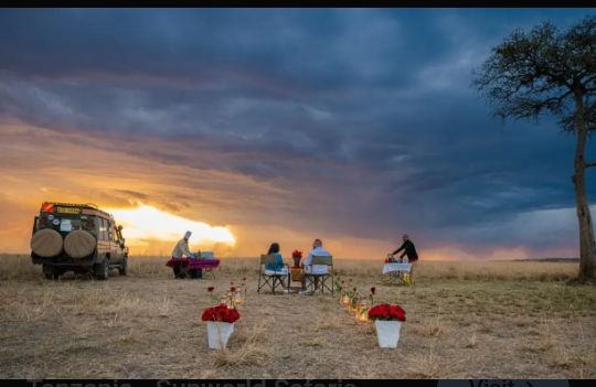 Safari gallery picture 24