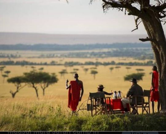 Beautiful African safari sunset