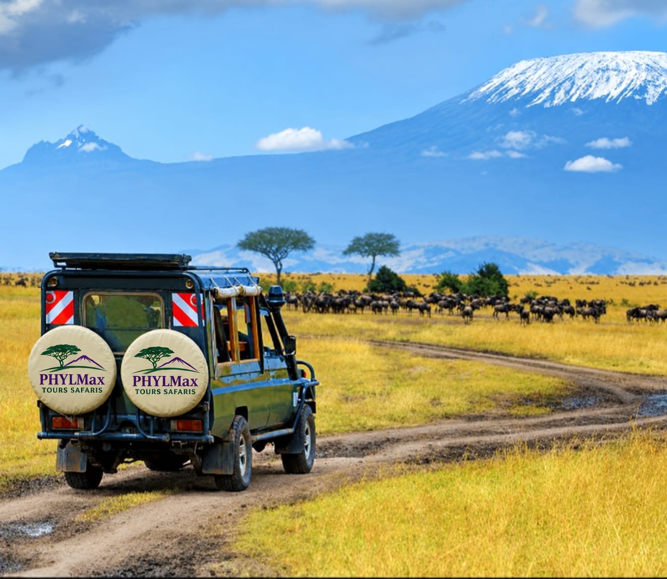 Beautiful African safari landscape